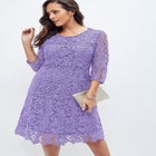 Lace Fit & Flare Dress image number null